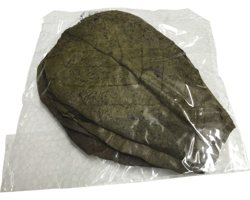 Seemandelbaumblätter in Verpackung