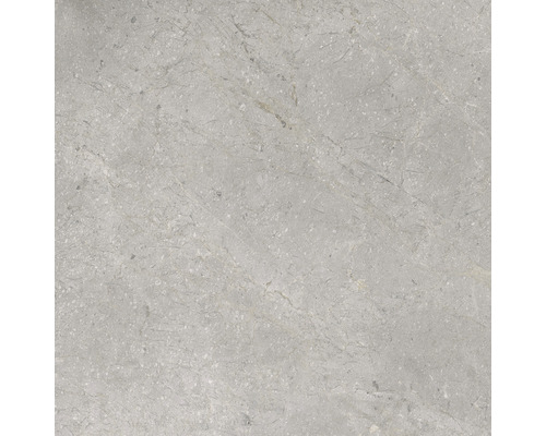 Graue Fliese mit Marmorstruktur