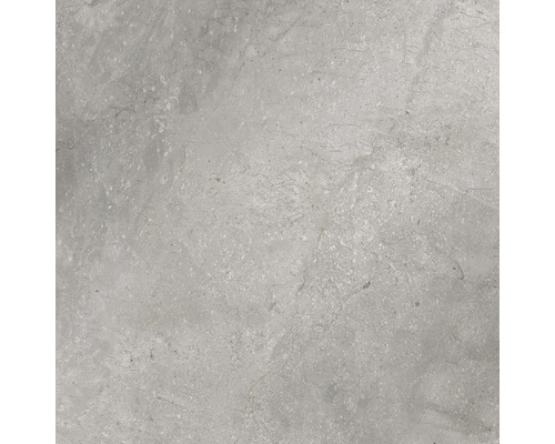 Graue Bodenfliese mit Marmoroptik