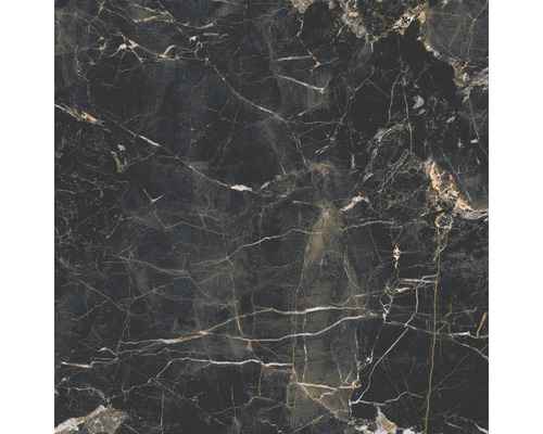 Feinsteinzeug Wand- und Bodenfliese Marquina 59,7 x 59,7 cm gold