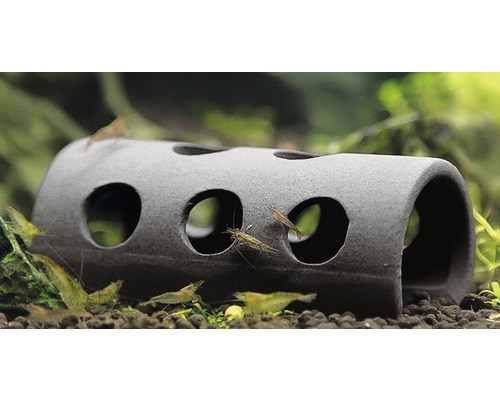 Dekorationstunnel mit Löchern für ein Aquarium, mit Garnelen