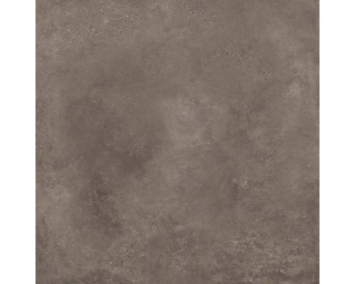 Feinsteinzeug Wand- und Bodenfliese Loftstone 120 x 120 cm taupe