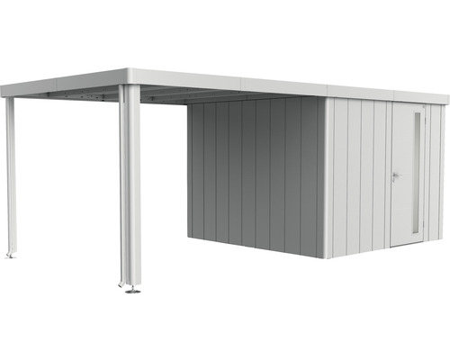 Seitendach biohort zu Gartenhaus Neo Gr. 3A/3B/3C/3D 300 cm silber-metallic