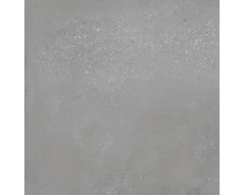 Feinsteinzeug Wand- und Bodenfliese Loftstone grey 59,5 x 59,5 cm