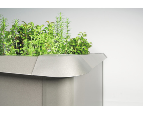 Hochbeet mit Kräutern