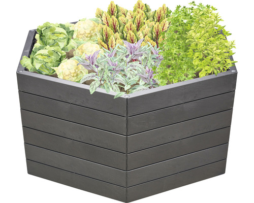 Hochbeet mit verschiedenen Gemüsesorten und Kräutern