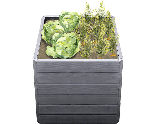 Hochbeet mit Kohl und Pflanzen