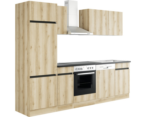 Küchenzeile mit Einbauschränken, Spüle, Herd und Dunstabzugshaube