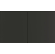 Hängeschrank Optifit Noah420 BxTxH 100 x 34,6 x 57,6 cm Frontfarbe anthrazit  matt Korpusfarbe wildeiche bei HORNBACH kaufen