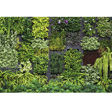 Wandbegrünung mit verschiedenen Pflanzenarten als dekoratives Gartenelement