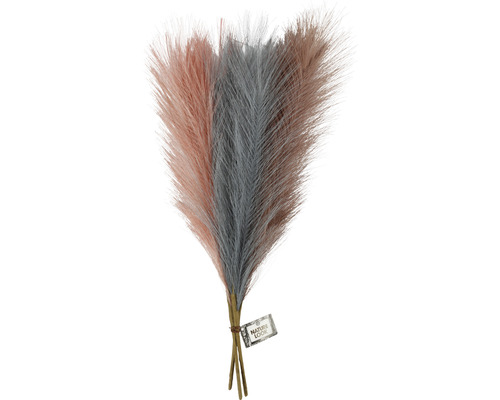 Dekorative Federgrasbündel für Innenräume