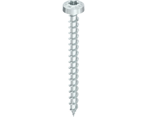 Silberfarbene Holzschraube mit Senkkopf und Torx-Antrieb