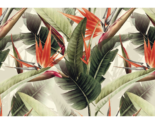 Fototapete Vlies DD120242 Cuba OrangeBirdPara beige grün 4-tlg. 400 x 280 cm Tapete mit tropischem Blüten- und Blattmuster