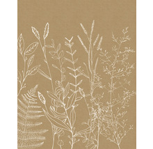 Illustration von Blättern und Farnen