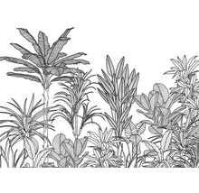 Illustration von verschiedenen tropischen Pflanzen