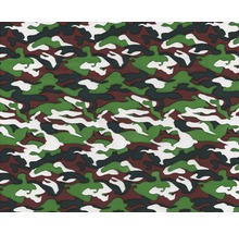 Wassertransferdruck Folie Tarn CA-NR-003-06 grün 100 x 50 cm