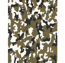 Wassertransferdruck Folie Tarn CA-NR-013-05 grünlich 100 x 50 cm