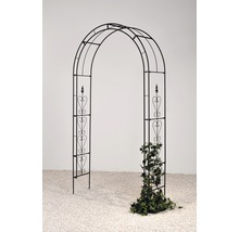 Schwarze Rosenbogen-Gartenlaube mit Herzmuster und Kletterpflanze.