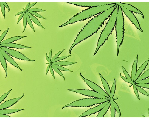 Wassertransferdruck Folie Camouflage CA-R-038 100 x 100 cm Illustration mit Cannabis Blättern