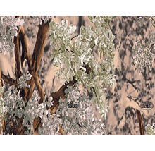 Wassertransferdruck Folie Camouflage CA-R-043 weiß/braun 100 x 50 cm