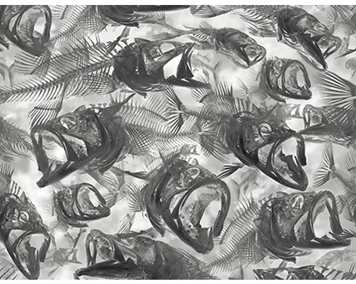 Wassertransferdruck Folie Camouflage CA-R-050 100 x 100 cm Abbildung eines Musters mit Fischskeletten