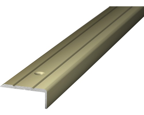 Prinz Winkelprofil Alu Edelstahl matt gelocht 24,5 x 10 x 1000 mm Stufenkantenprofil aus Metall mit Rillen und Befestigungslöchern