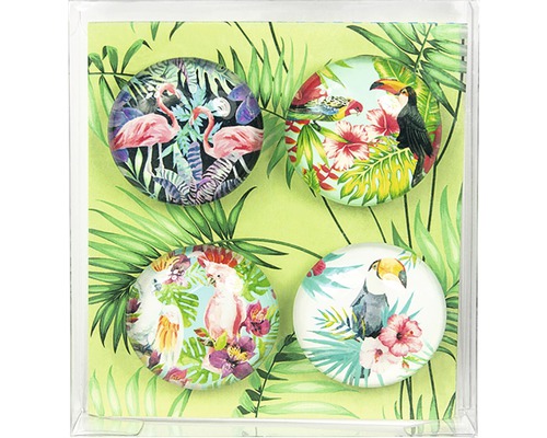 Vier tropische Magnete mit Flamingo-, Kakadu- und Tukanmotiven