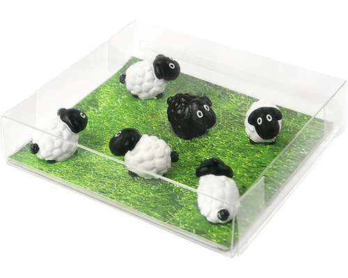 Dekorative Schafherde in transparenter Box auf grüner Wiese