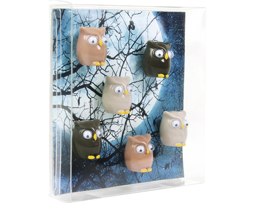 Dekorative Magnete in Eulenform vor einem Hintergrund mit Mondmotiv