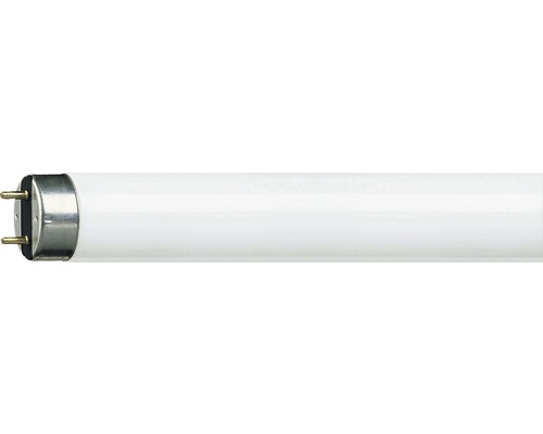 Leuchtstofflampe Philips Master TL-D G13/18W 1300 lm 865 tageslichtweiß L 600 mm