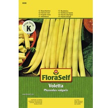 FloraSelf Buschbohne Voletta Samenpackung