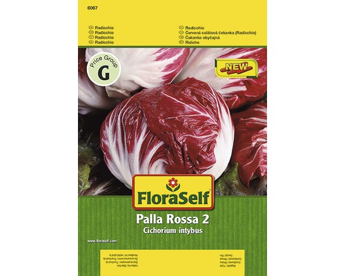 Radicchio 'Palla Rossa 2' FloraSelf samenfestes Saatgut Gemüsesamen