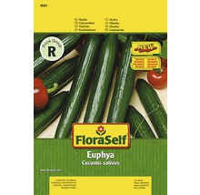 FloraSelf Euphya Gurkensamenpackung