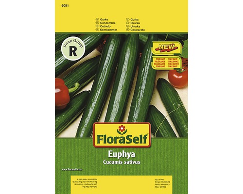 FloraSelf Euphya Gurkensamenpackung