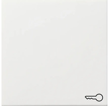 Schaltereinsatz mit Schlüssel-Symbol