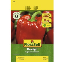 FloraSelf Bendigo Paprika Saatgut Packung
