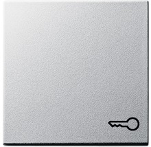 Schaltereinsatz mit Schlüssel Symbol