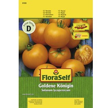Tomate 'Goldene Königin' FloraSelf samenfestes Saatgut Gemüsesamen