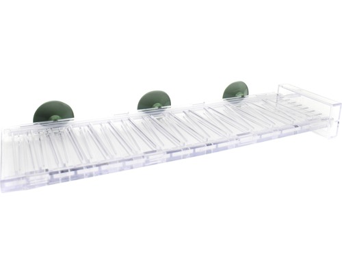 Duschablage aus Kunststoff mit Saugnäpfen