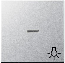 Schalter mit Glimmlampe und Lichtsymbol
