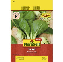 FloraSelf Tatsoi Brassica Rapa Samenpackung