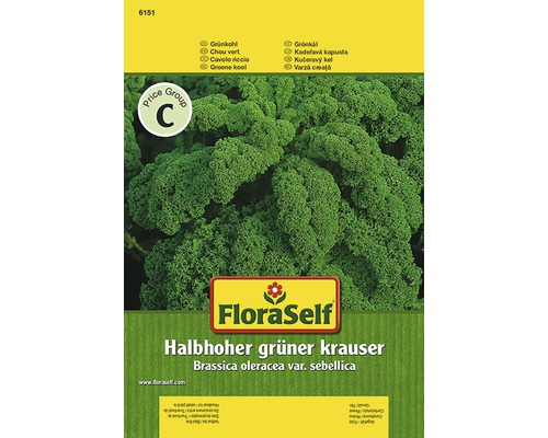 Grünkohl 'Halbhoher Kraus' FloraSelf samenfestes Saatgut HORNBACH