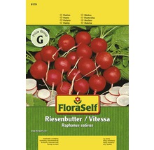 Radieschen Samenpackung Riesenbutter