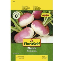 Herbstrübe 'Plessis' FloraSelf F1 Hybride Gemüsesamen