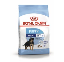 Hundefutter trocken ROYAL CANIN Maxi Puppy für Welpen großer Rassen 15 kg-thumb-0