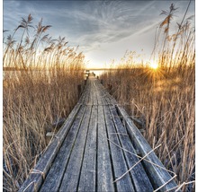 Holzsteg zwischen Schilf mit Blick auf einen See bei Sonnenuntergang