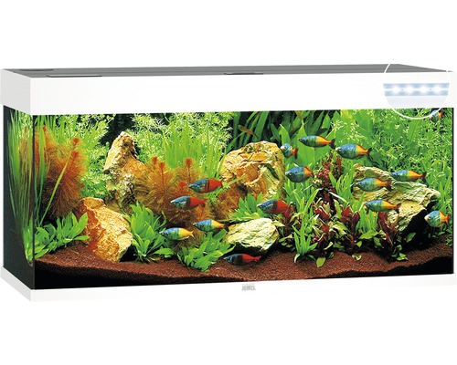 Aquarium hotsell 240L 120cm +Schrank