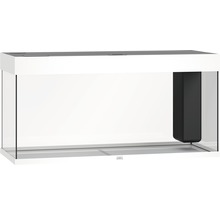 Weißes Glasaquarium mit integriertem Innenfilter