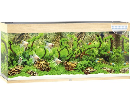 Aquarium JUWEL Rio 240 mit LED-Beleuchtung, Pumpe, Filter, Heizer ohne Unterschrank helles Holz