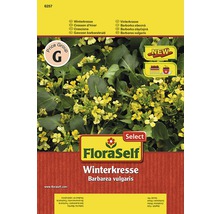 FloraSelf Winterkresse Samenpackung